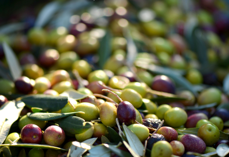 Esperienze culinarie Tropea